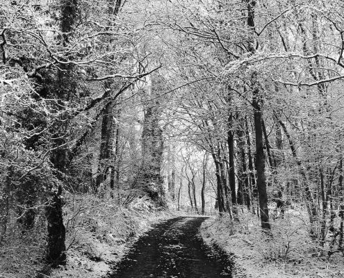 Paysage de Normandie enneigé