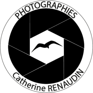 CATHERINE RENAUDIN